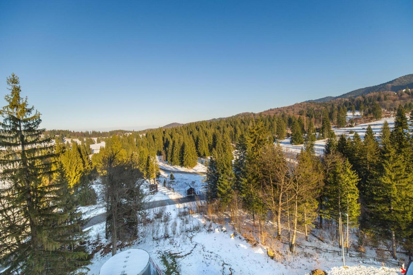 Pine Woods Apartment A43 In Silver Mountain Пояна-Брашов Экстерьер фото