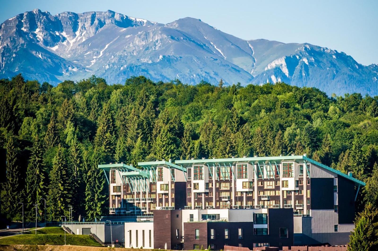 Pine Woods Apartment A43 In Silver Mountain Пояна-Брашов Экстерьер фото