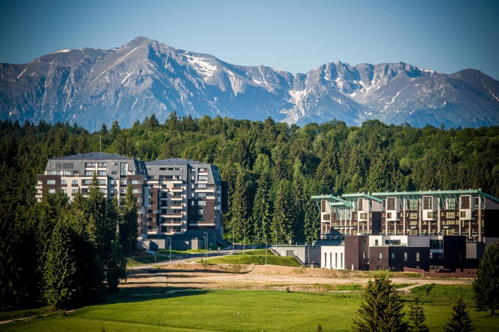 Pine Woods Apartment A43 In Silver Mountain Пояна-Брашов Экстерьер фото